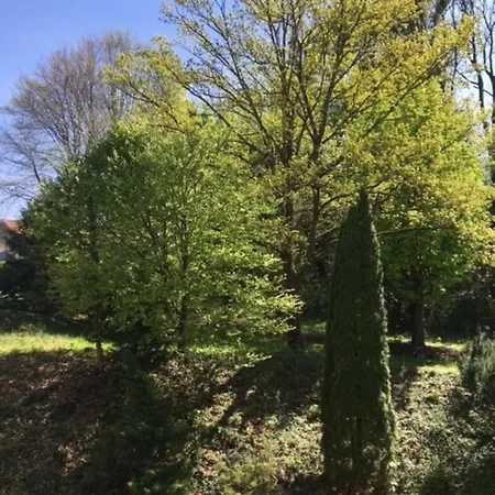 City Appartement Bad Reichenhall