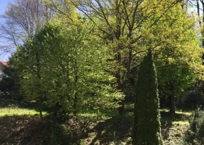 City Appartement Bad Reichenhall
